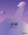 见猫章节列表