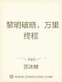 黎明破晓，万里终程章节列表