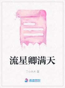 流星卿满天章节列表