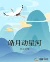 皓月动星河章节列表