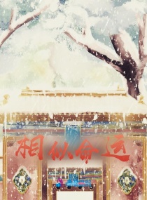 相似命运章节列表