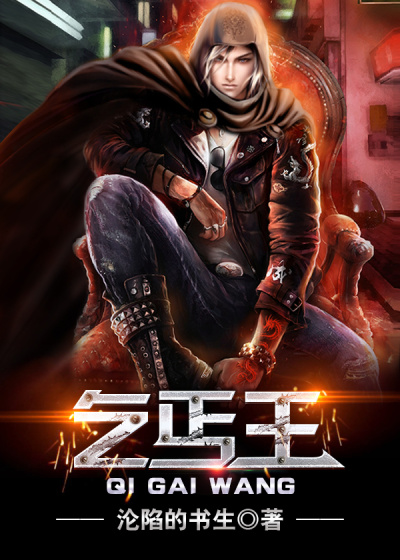 乞丐王章节列表
