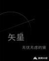 矢星章节列表