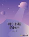 阿尔科斯的彼岸章节列表