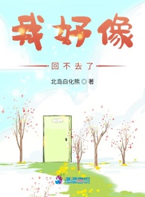我好像回不去了章节列表