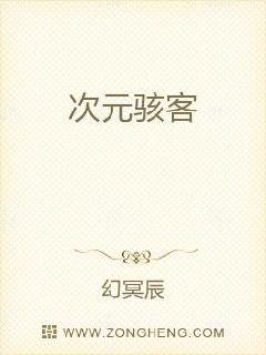 次元骇客章节列表