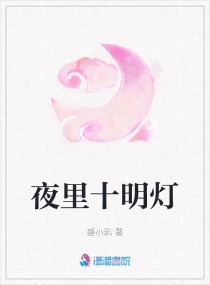 夜里十明灯章节列表