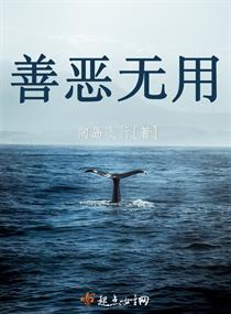 善恶无用章节列表