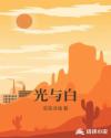 光与白章节列表