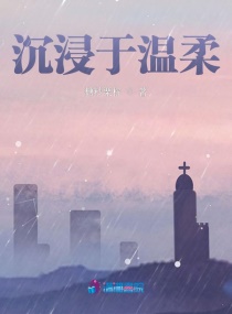 沉浸于温柔章节列表