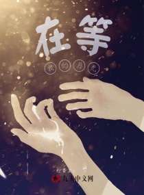 在等我的月光章节列表