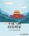 不成气候的发明家章节列表