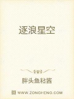 逐浪星空章节列表