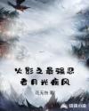 火影之最强忍者月光疾风章节列表