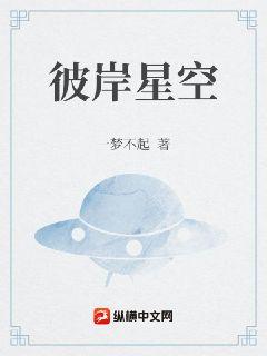 彼岸星空章节列表