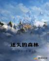 迷失的森林章节列表