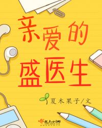 亲爱的盛医生章节列表