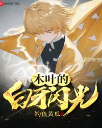 木叶的白牙闪光章节列表