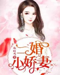 二婚小娇妻章节列表