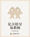 亿万倍交易系统章节列表