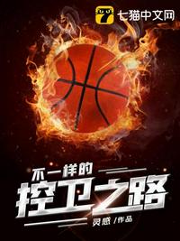 不一样的控卫之路章节列表