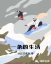 一条的生活章节列表