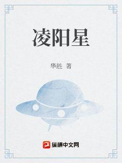 凌阳星章节列表