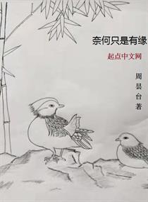 奈何只是有缘章节列表
