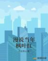 漫说当年枫叶红章节列表