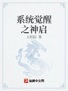 系统觉醒之神启章节列表