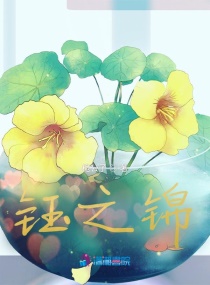 钰之锦章节列表