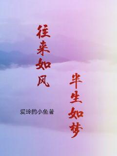 往来如风，浮生如梦章节列表