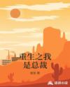 重生之我是总裁章节列表