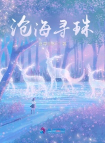 沧海寻珠章节列表