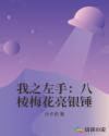 我之左手：八棱梅花亮银锤章节列表