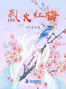 烈火红梅章节列表
