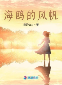 海鸥的风帆章节列表