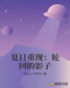夏日重现：轮回的影子章节列表