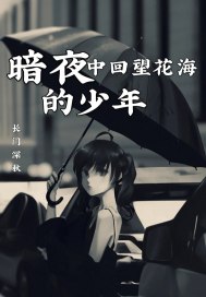 暗夜中回望花海的少年章节列表