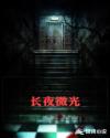 长夜微光章节列表