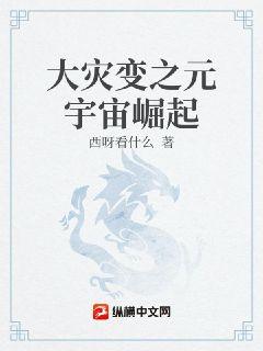大灾变之元宇宙崛起章节列表
