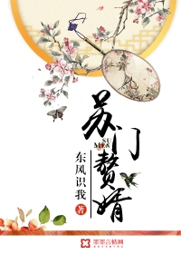 苏门赘婿章节列表