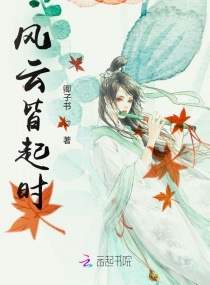 风云皆起时章节列表