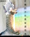 正确的方向是背道而驰章节列表
