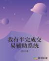 我有半完成交易辅助系统章节列表