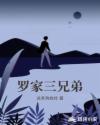 罗家三兄弟章节列表