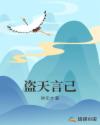 盗天言己章节列表