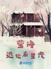 莹海远处有星光章节列表