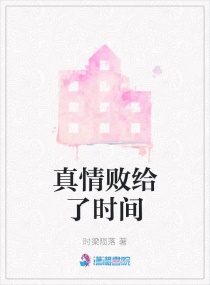 真情败给了时间章节列表