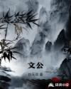 文公章节列表